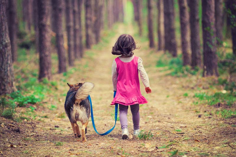 Dog carer
